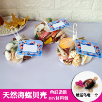 Natural large shell conch fish tank Landscape decoration Mediterranean Sea life specimen diy material package package