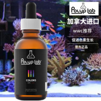 Canadian POLYPLAB COLORS coral strong chromogenic amino acids 50ML sea tank to promote hair growth