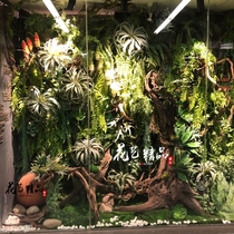 Undertake landscaping tropical rainforest plant wall glass tank landscape grass wall vertical green air grass Persian grass dead wood