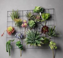 Simulation succulent plant living room bedroom wall decoration gemstone Lotus Air grass bergamot Lotus cactus money tree