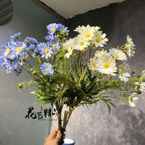 Bundling 5 branches of wild chrysanthemum flower sea shooting white small wildflowers yellow wedding flower chamomile