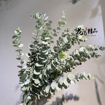 Soft glue money leaf round leaf flower arrangement leaf eucalyptus leaf string leaf fake leaf fake leaf fake flower material holding flower arches