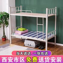 Upper and lower bunk beds Double beds Double beds Students Staff Dormitory High and low beds Adult worksite Bed Lower Bed Iron Frame Bed