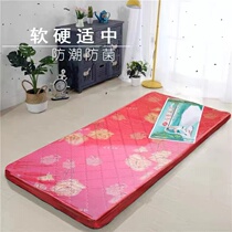 Xian mattress single double mattress Coconut Palm Brown Cushion Hard Cotton Mattress volume Big co-city can be delivered to home