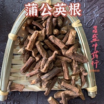 Dandelion root tea wild 500g Changbai Mountain dandelion tea with dried roots pure natural super large root