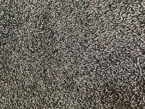 Northeast 2020 new black rice 5kg of miscellaneous grains Heilongjiang farmers self-produced Wuchang black rice whole grains black rice porridge