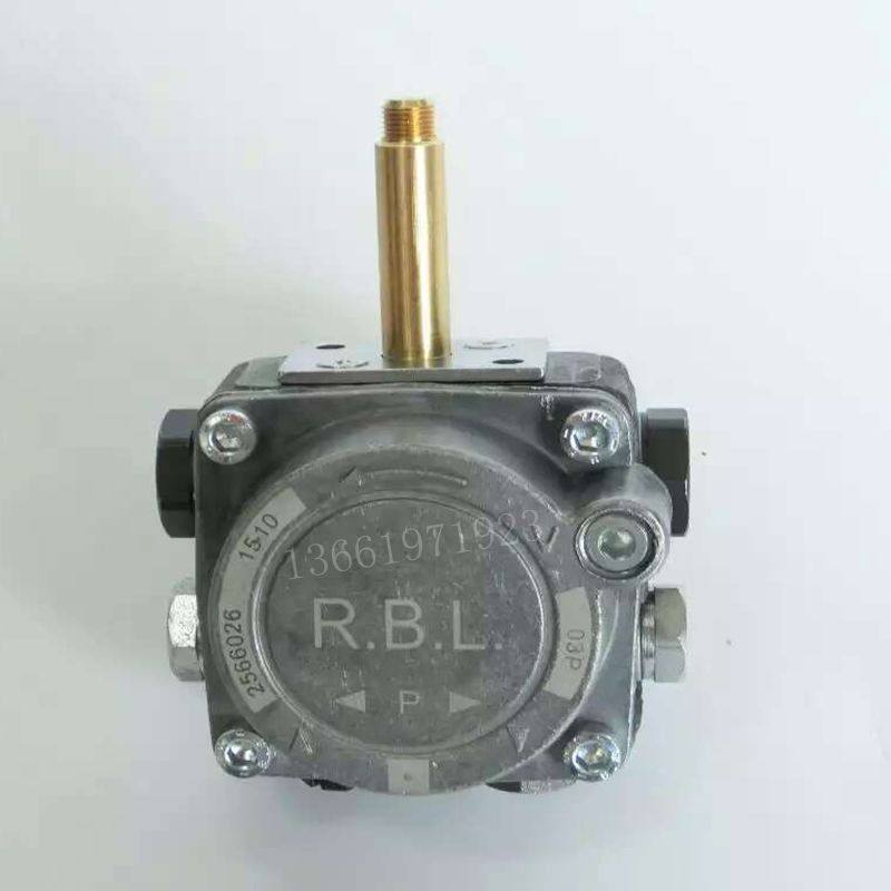 Oil-fired boiler RBL burner accessories diesel burner oil pump Riyalu G40 diesel pressure gear pump