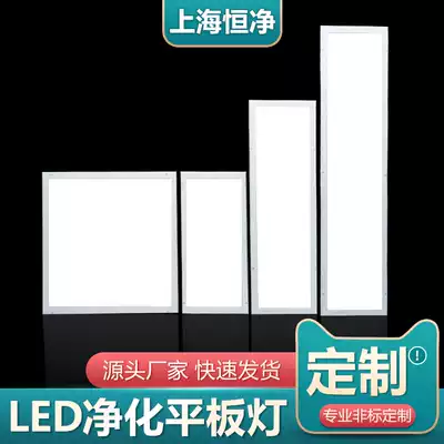 LED purification flat lamp ultra-thin clean lamp 300x1200 food operating room dust-free workshop hospital ceiling lamp