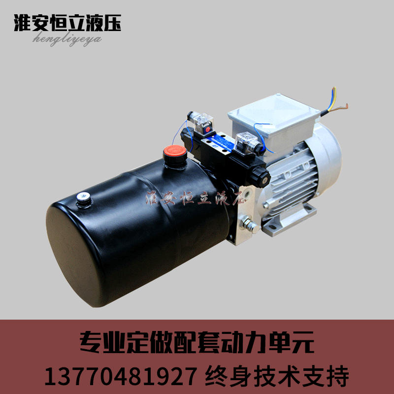 Customized small hydraulic power unit 220V380V hydraulic lifting platform miniature single-acting power pump station