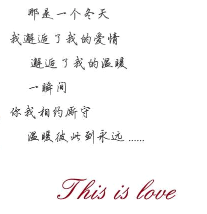 Pantalon collant en laine - Ref 753503 Image 8