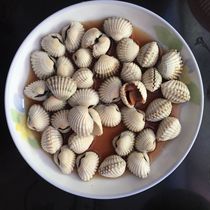 Wenzhou specialty drunken blood clam pickled drunk silver cockles blood cockles cockles 500 grams of snow clam