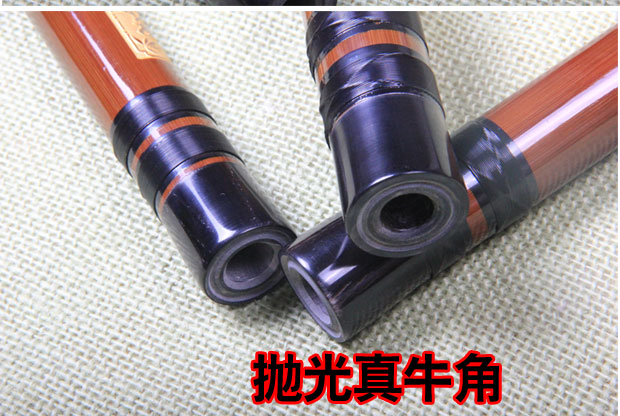 Sáo / đồng trắng chuyên nghiệp đôi sáo tre đắng / Bao Miaoliang tinh chế / nhạc cụ Yusheng / thử nghiệm mới bắt đầu - Nhạc cụ dân tộc đàn cổ cầm giá bao nhiều
