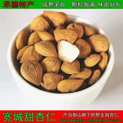 Chengde specialty new products Kuancheng wild sweet almond large flat particles full flavor strong agricultural products 500g