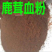 Jilin Plum Blossom Antler Blood Powder Dry Powder Dry Powder Jilin Changbai Mountain Origin Direct 1 gr Bulk