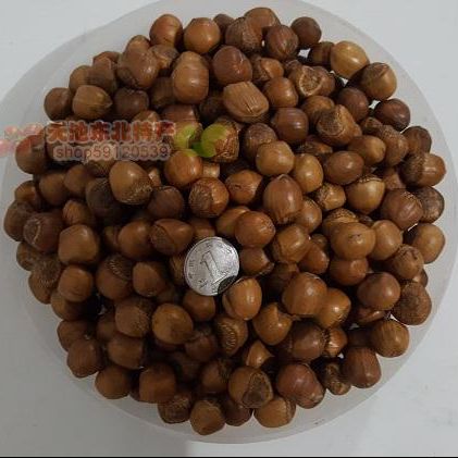 Jilin Changbai Mountain wild hazelnut pure northeast game open cooked hazelnut buy 3 jins free tongs