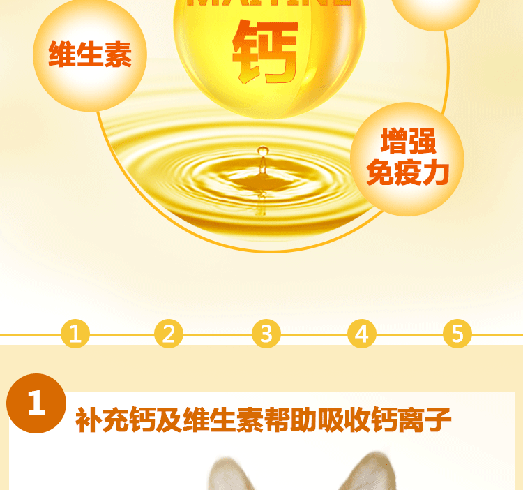 Pet dog cat vitamin bd chất lỏng viên canxi bột xương bổ sung canxi con chó mang thai chó mèo dinh dưỡng - Cat / Dog Health bổ sung sữa cho chó tốt nhất	