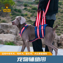 Elderly dog auxiliary belt traction harness injured dog hind leg auxiliary rehabilitation golden retriever husky old dog traction belt