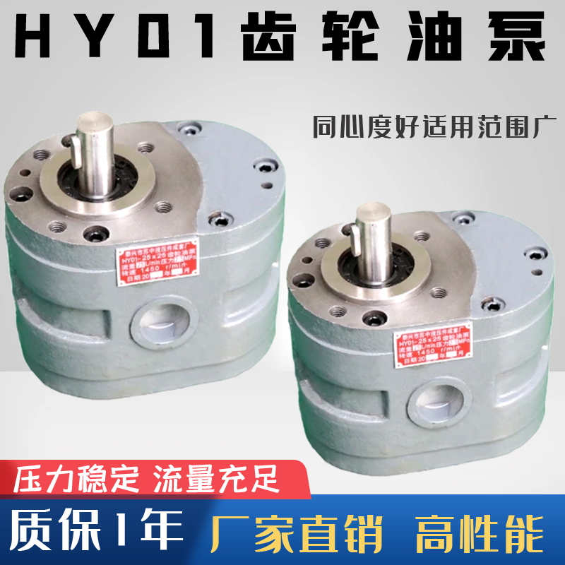 Exploits promotion HY01-18x25 HY01-25x25 old style machine tool hydraulic gear pump low pressure gear oil pump-Taobao