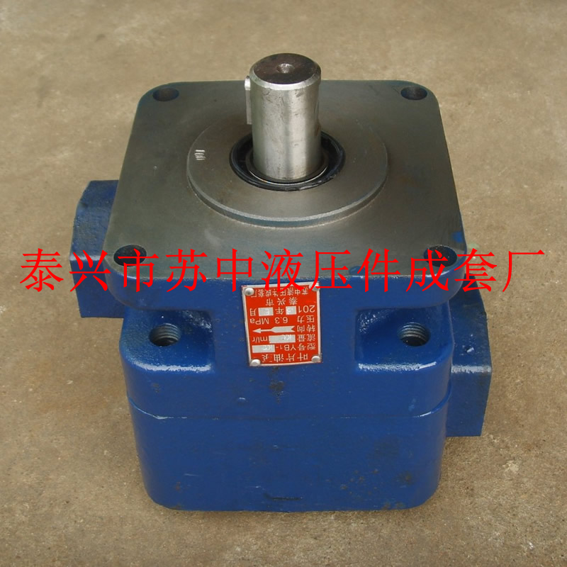 Cast iron YB1-100 YB1-80 YB1-63 blade oil pump Hangzhou M7130 grinder hydraulic pump YB1-100