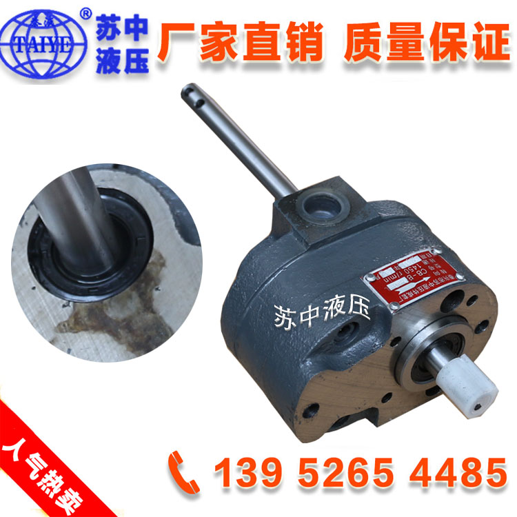 Manufacturer direct CB-B6 CB-B6 CB-B63 CB-B80 double out shaft gear oil pump gear pump non-standard custom pump