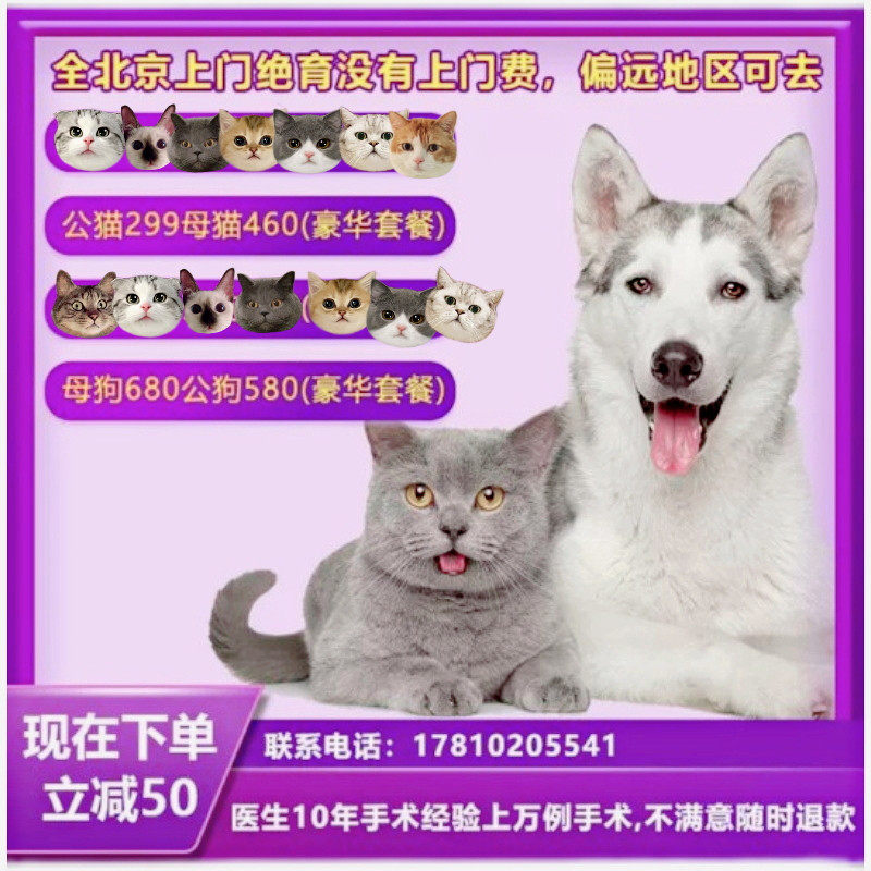 Beijing cat sterilization female cat sterilization male cat sterilization pet doctor team door-to-door surgical clothing cat clothes