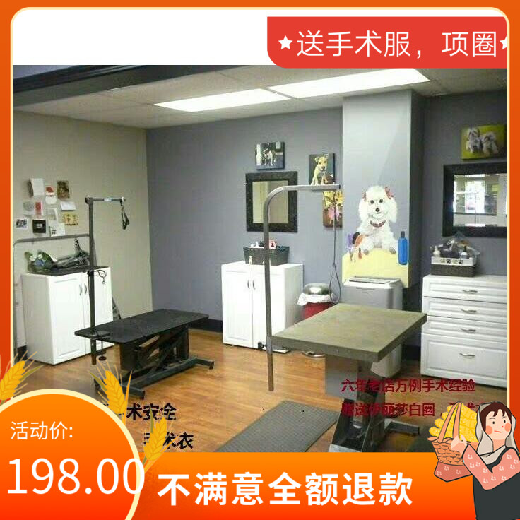 Beijing pet doctor visits female cat sterilization surgery male cat sterilization visits female cat sterilization cat sterilization operation