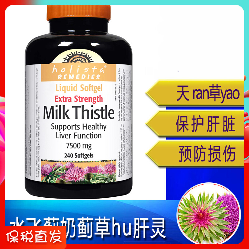 Spot Canada holista Milk Thistle Grass Care * Liver Slices Water Flying Thistle Capsule 240 grains staying up all night Decanting Decanting