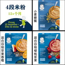 Spot Canada Jiabao rice flour Baby baby rice paste 4 sections 4 sections High-speed rail Cherry orange grain 12 months