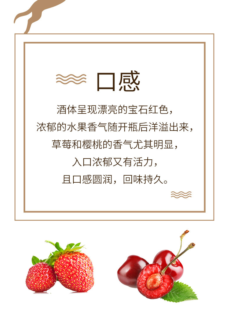智利原瓶进口,750mlx6瓶 COUGAR美洲狮 柯诺苏酒庄 中央山谷干红葡萄酒 179元包邮 值值值-买手聚集的地方