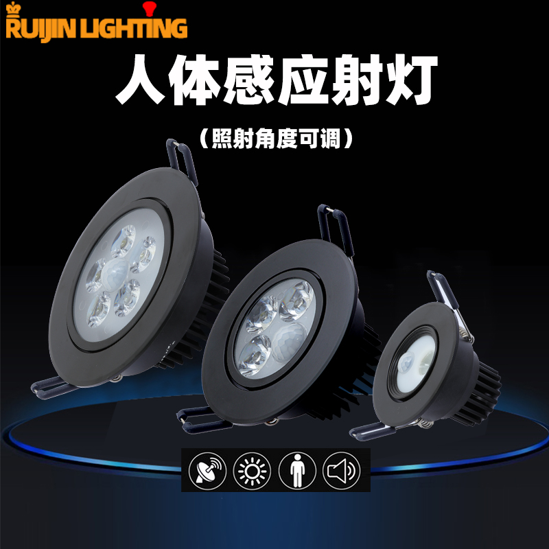 Spotlight embedded in clothing hotel shop commercial adjustable angle home background wall spotlight ceiling black LED induction
