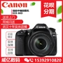 Canon Canon 80D kit 18-135 USM WIFI máy ảnh DSLR EOS 80D 18-135mm - SLR kỹ thuật số chuyên nghiệp máy chụp ảnh