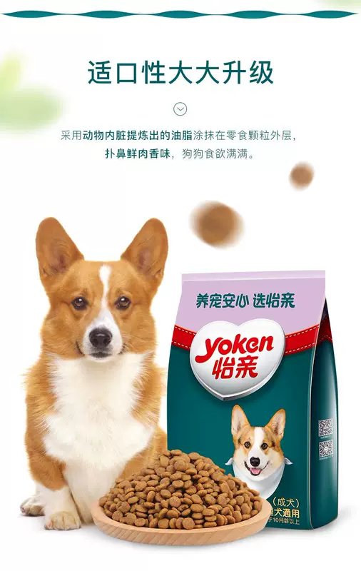 Yiqin chó nhỏ chó trưởng thành phổ quát thức ăn cho chó 2,5kg gấu bông bomeibi gấu chihuahua thức ăn đặc biệt cho chó - Chó Staples