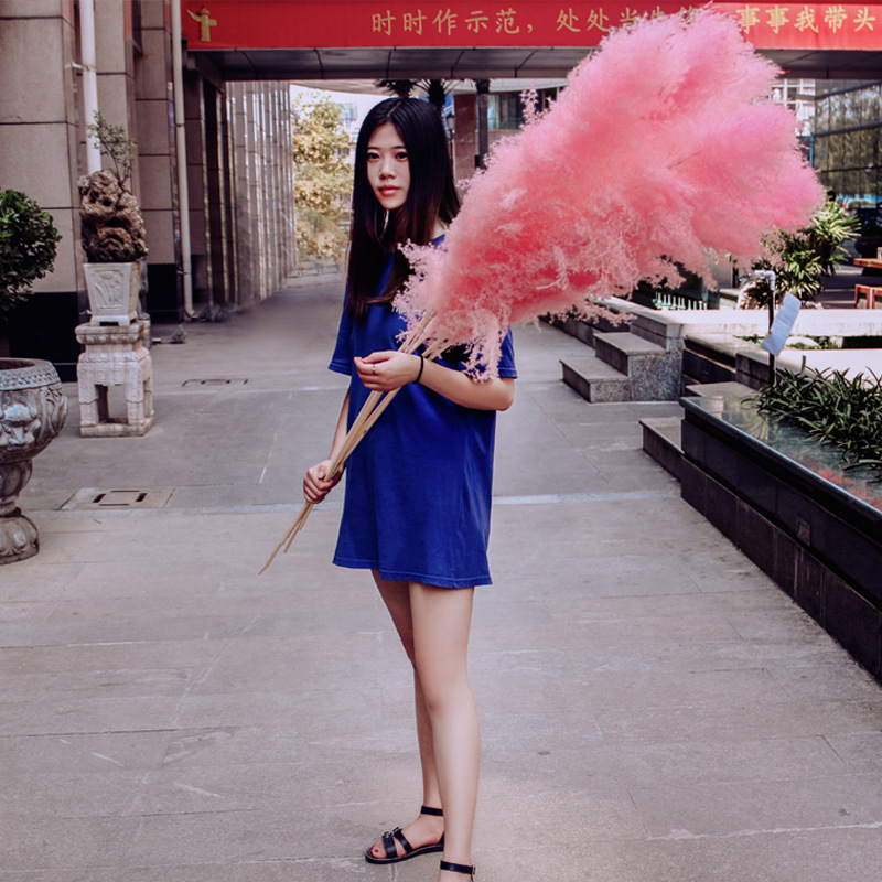 Reed Dried Flower Simulation Flower Bouquet Grass Immortal Flower Home Decoration Natural Ins Pink Big Reed Manufacturer