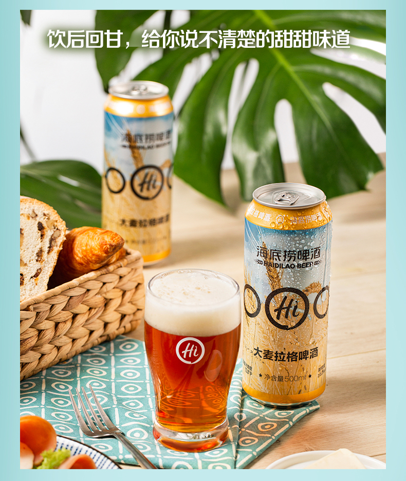 海底捞 大麦拉格 精酿啤酒 500ml*12罐 整箱装 图5