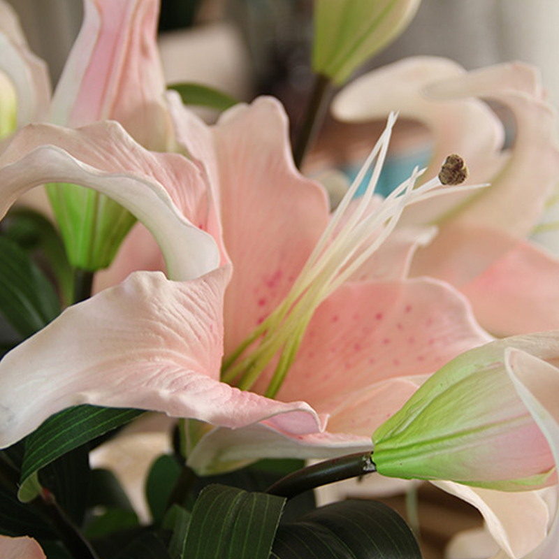 ��Ӱ������֦pu�ٺϷ��滨gyyxjh-55