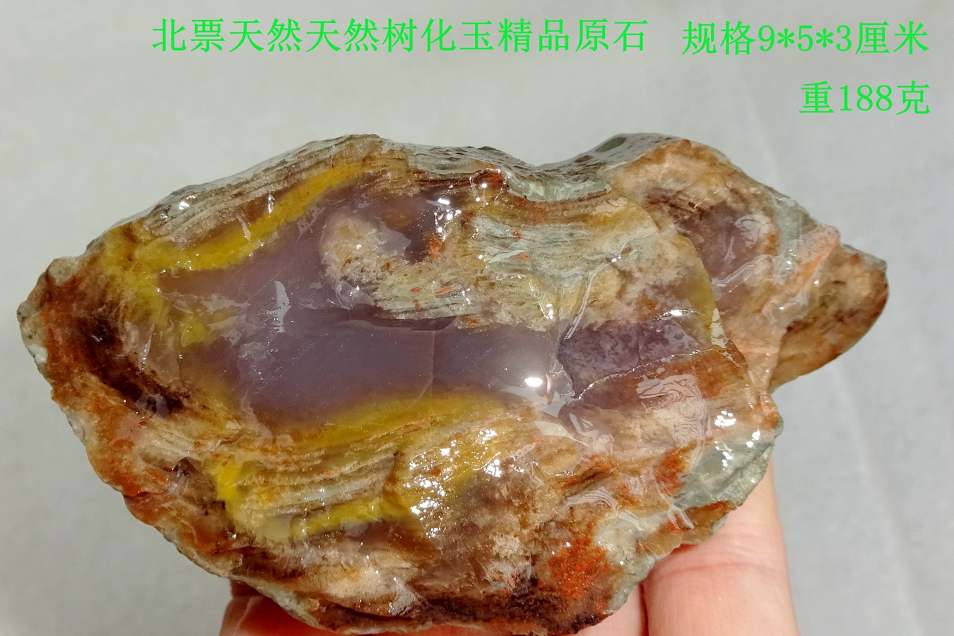 Natural and silicon fossil silicon wood tree stone specimen tree 1589