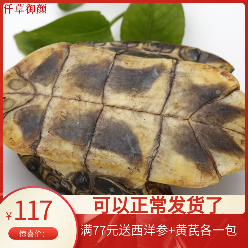one thousand grass Queen's turtle plate 500 gr turtle bottom turtle bottom plate tortoise plate Non-wild Chinese herbal medicine Vinegar Tortoise Plate