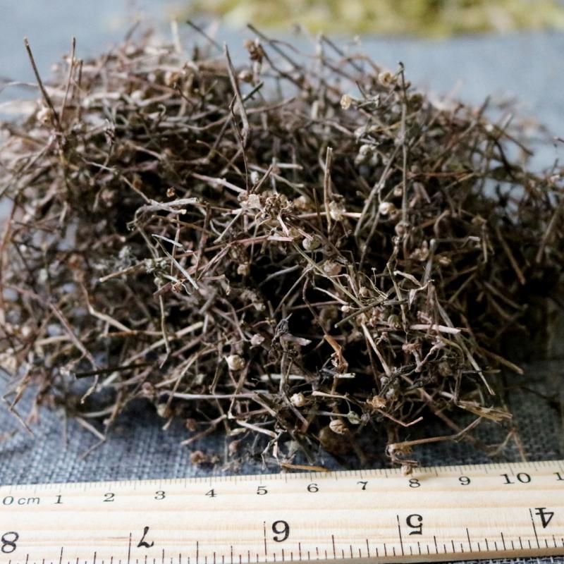 铁树叶白蛇草半枝莲请问 大红枣 铁树叶 半枝莲 白花蛇草 这个偏方治 铁树叶白蛇草半枝莲请问 大红枣 铁树叶 半枝莲 白花蛇草 这个偏方治