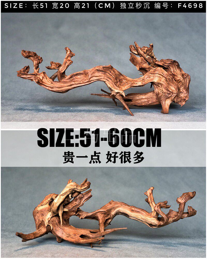 Two Horses 51-60cm Sink Wood Large Large Scale Fish Building Landscape Wood Trees Forest Uglans Sunbeds Natural Bouquets Purple Pomace