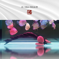 Erma 81-100cm arch bridge type sunken wood tree stump large large natural fish tank landscaping fine purple teak