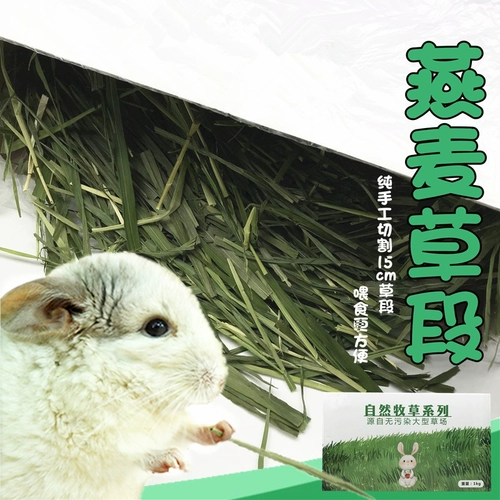 Бесплатная доставка сушеная зеленая овсянка