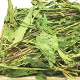 БЕСПЛАТНАЯ ДОСТАВКА Новая одуванчик травяная кролик chinchilla голландская свинья морская свинья морская свинка