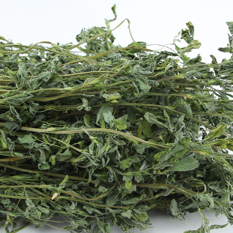 Dried alfalfa rabbit guinea pig Chinchilla chinchilla forage feed hay gross weight 1000g