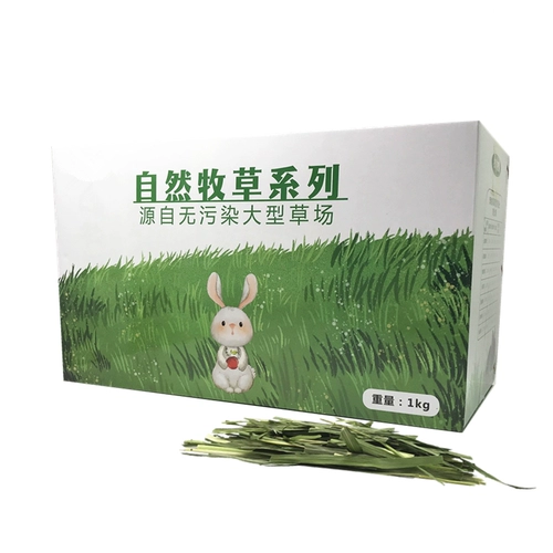 Бесплатная доставка сушеная зеленая овсянка