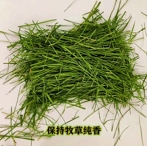 БЕСПЛАТНАЯ ДОСТАВКА 22 года высыхания Специальная зеленая тиси Cao Beiti North сопоставимо с Nanti Totoro Bunny Ruins