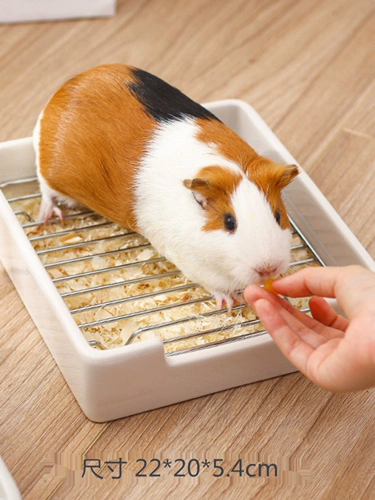 БЕСПЛАТНАЯ ДОСТАВКА НОВАЯ Тоторо Голландская свинина, морская свинка, кролик, кролик, белка земляных квадратных квадратных туалетов