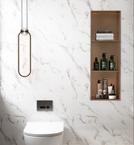 New simple stainless steel metal niche toilet bathroom embedded wall cabinet Shower room buried wall concealed cabinet