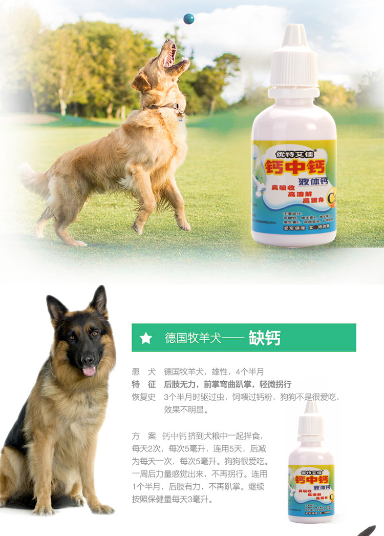 Canxi Canxi Chó con Canxi Chó Mèo Canxi Golden Hair Teddy Labrador Bone Canxi Pet Sản phẩm sức khỏe Sữa cho mèo con giá bảo nhiều