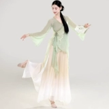 Классическая этническая длинная шифоновая спортивная одежда, для выступлений