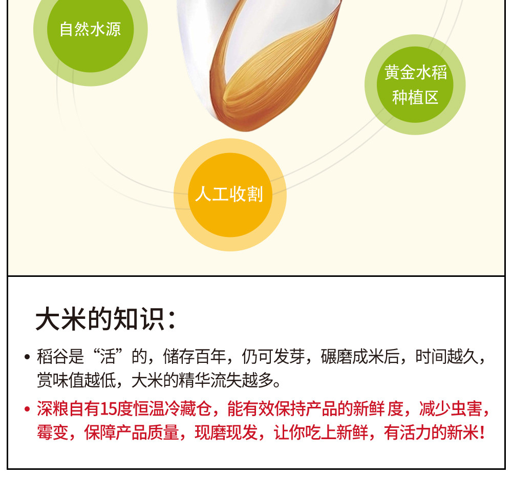 安享好物 安享C级粳米-润香粮品珍珠米寒地大米 国标 